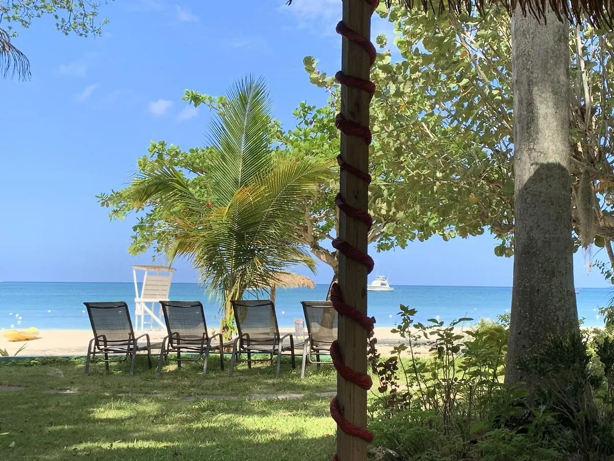 Family Comfort In Jamaica - Enjoy 7 Miles Of White Sand Beach! Villa 内格里尔