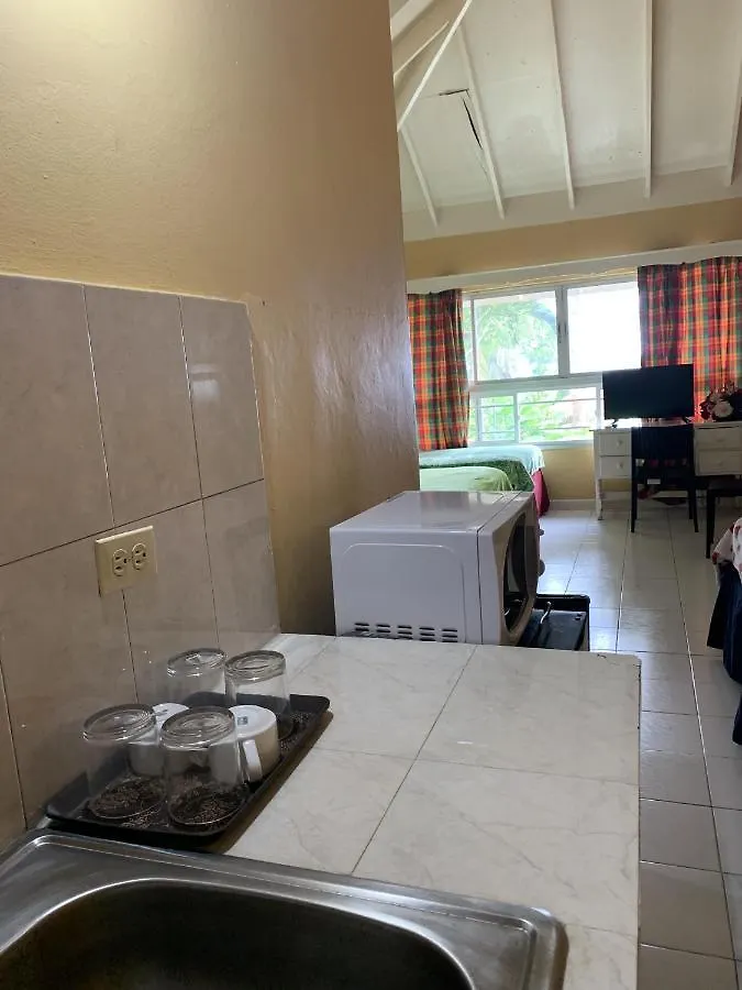 Family Comfort In Jamaica - Enjoy 7 Miles Of White Sand Beach! Villa 内格里尔