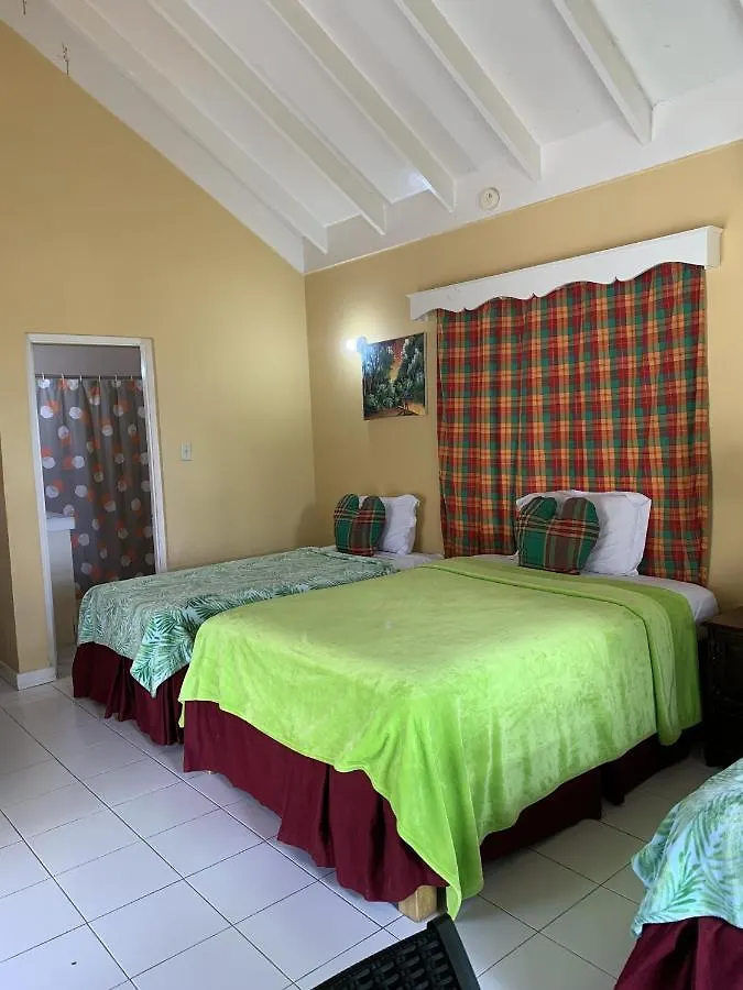 Family Comfort In Jamaica - Enjoy 7 Miles Of White Sand Beach! Villa 内格里尔