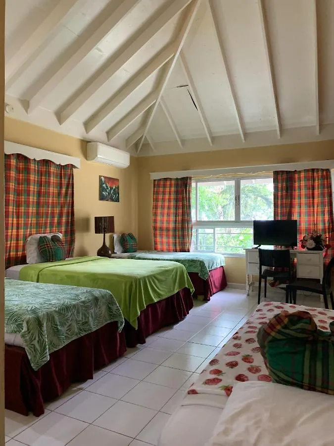 Family Comfort In Jamaica - Enjoy 7 Miles Of White Sand Beach! Villa ネグリル ジャマイカ